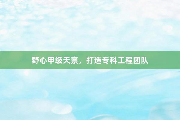 野心甲级天禀，打造专科工程团队