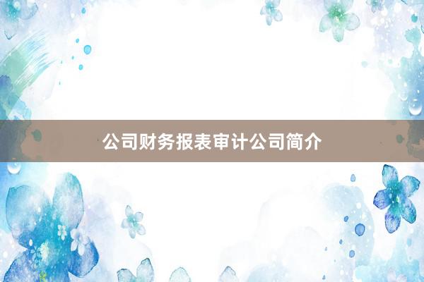公司财务报表审计公司简介